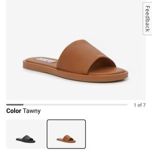 Steve Madden Sienna Sandal